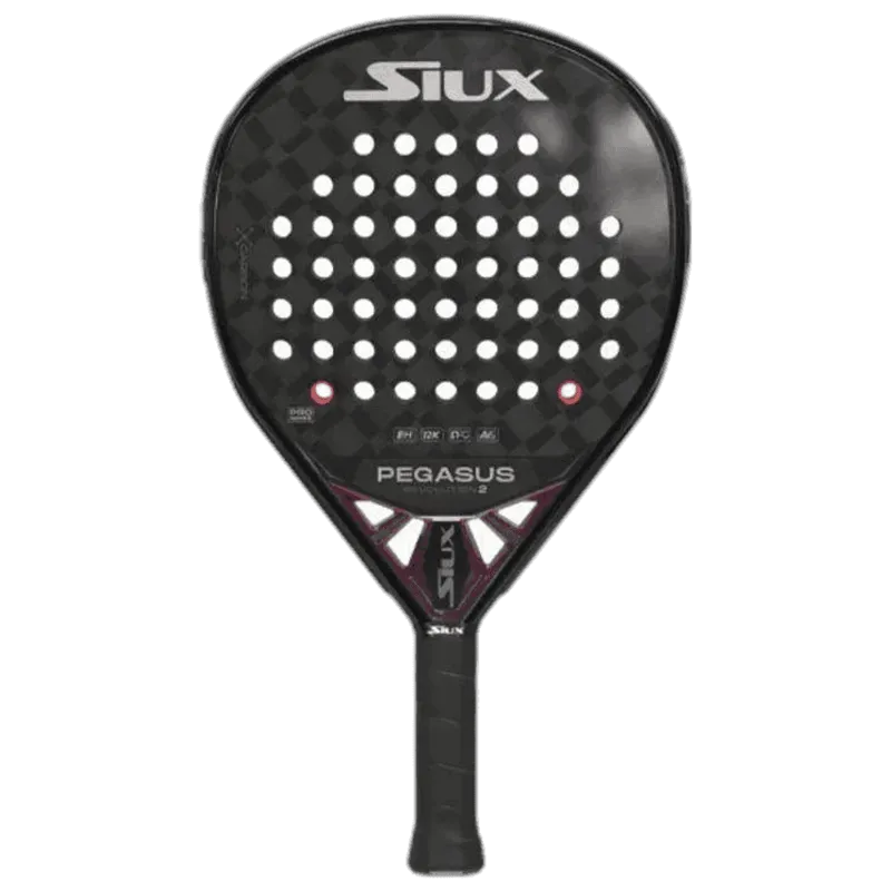 Siux Pegasus Revolution 2 2024